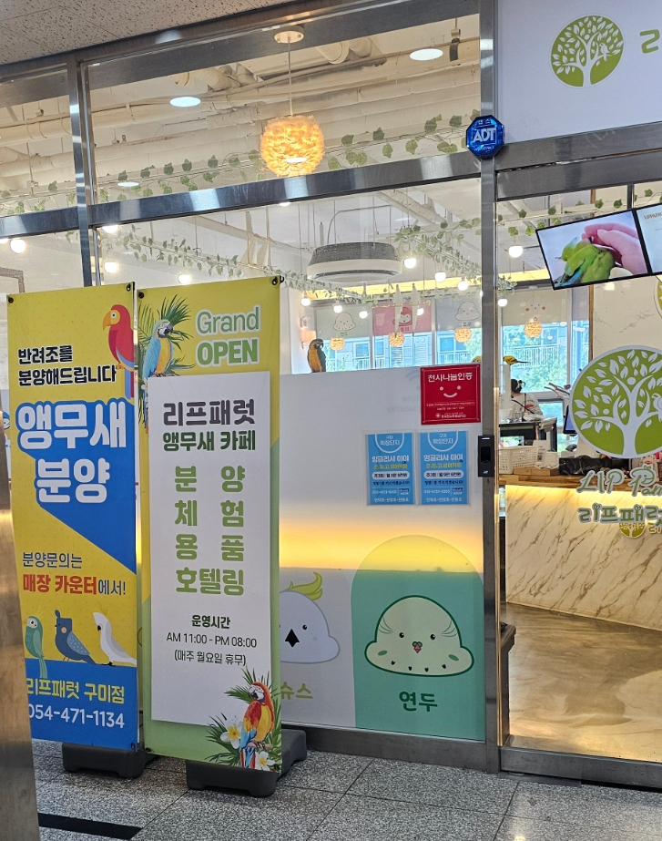 리프패럿 구미점 사진 4