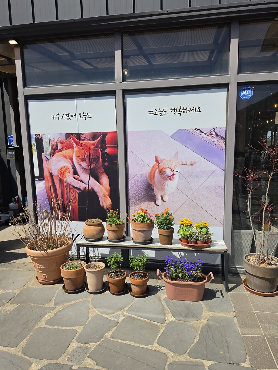 더뷰카페&키친 사진 3