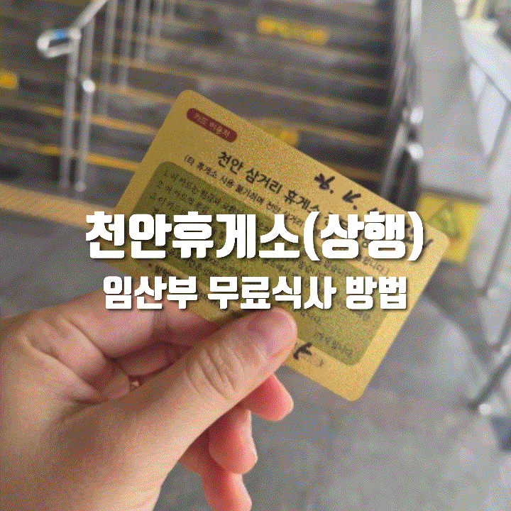  천안 휴게소 상행 임산부 무료식사 방법 및 후기