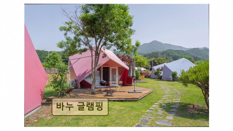 사진 2