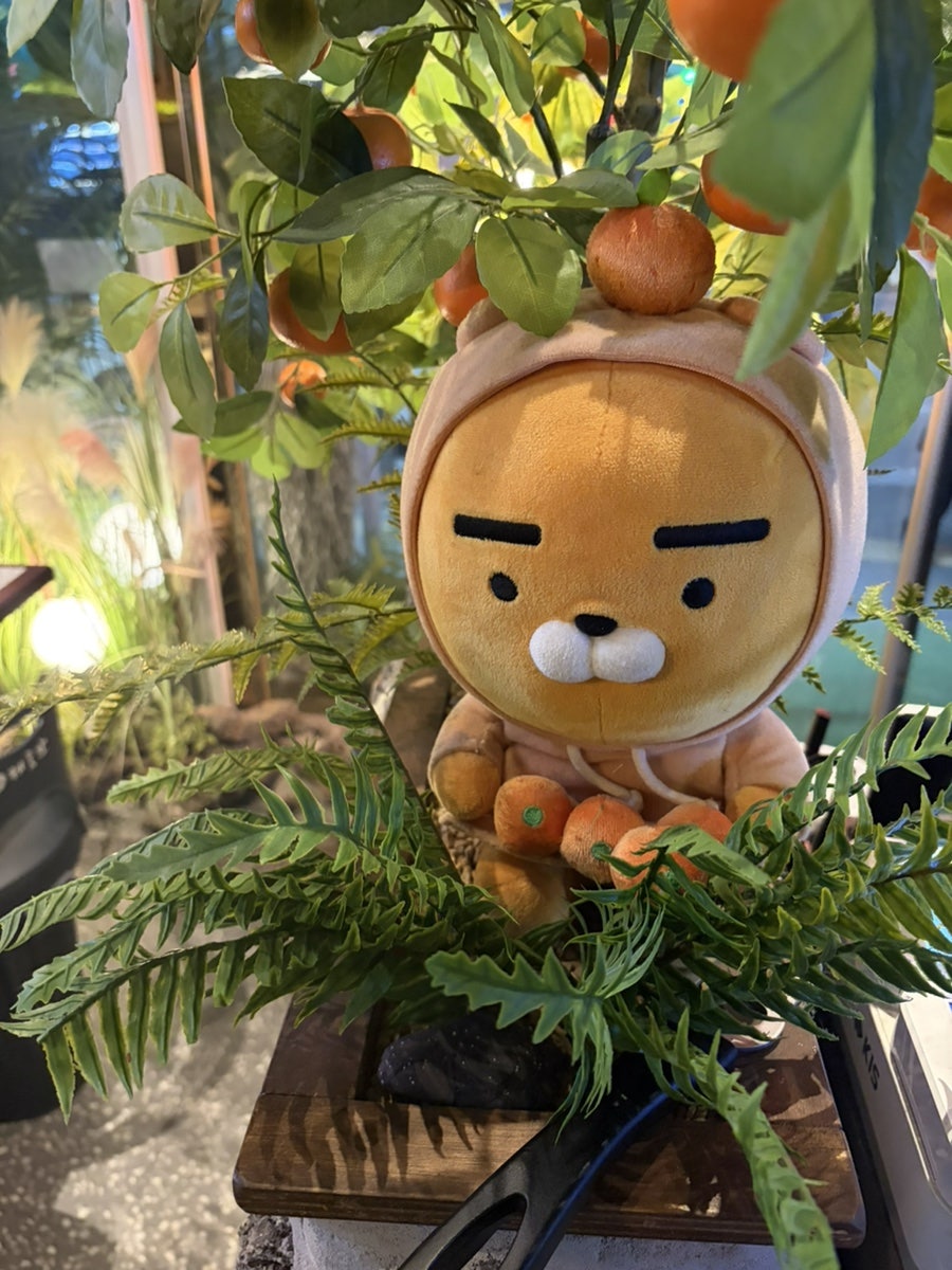 제줏간 원주무실점 사진 6