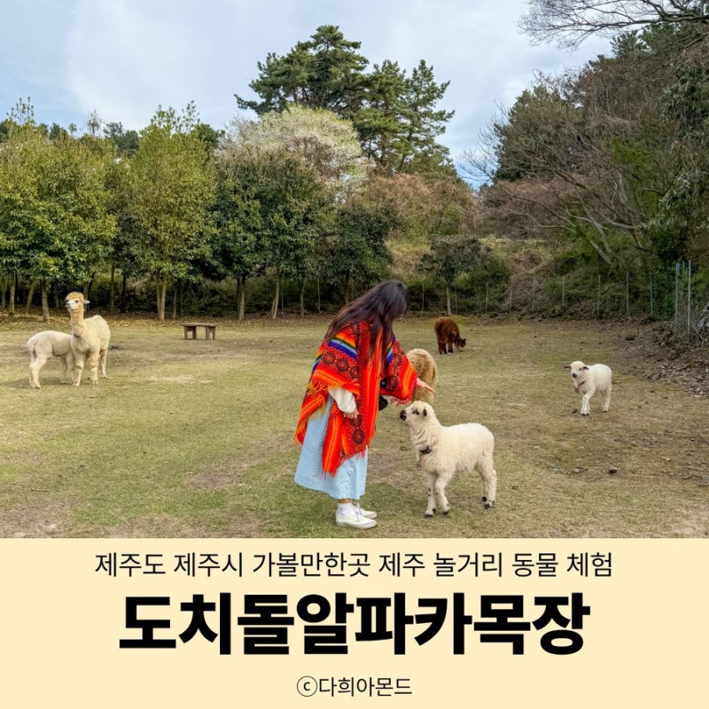도치돌 알파카목장