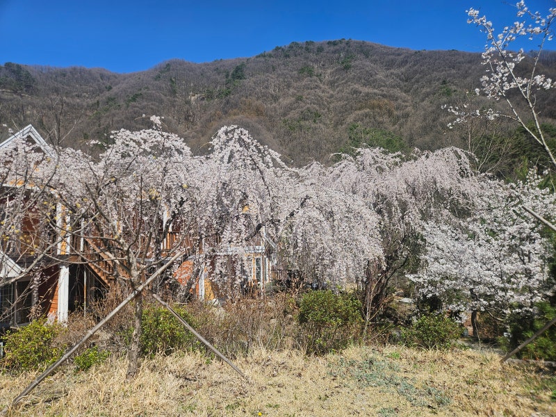사진 3