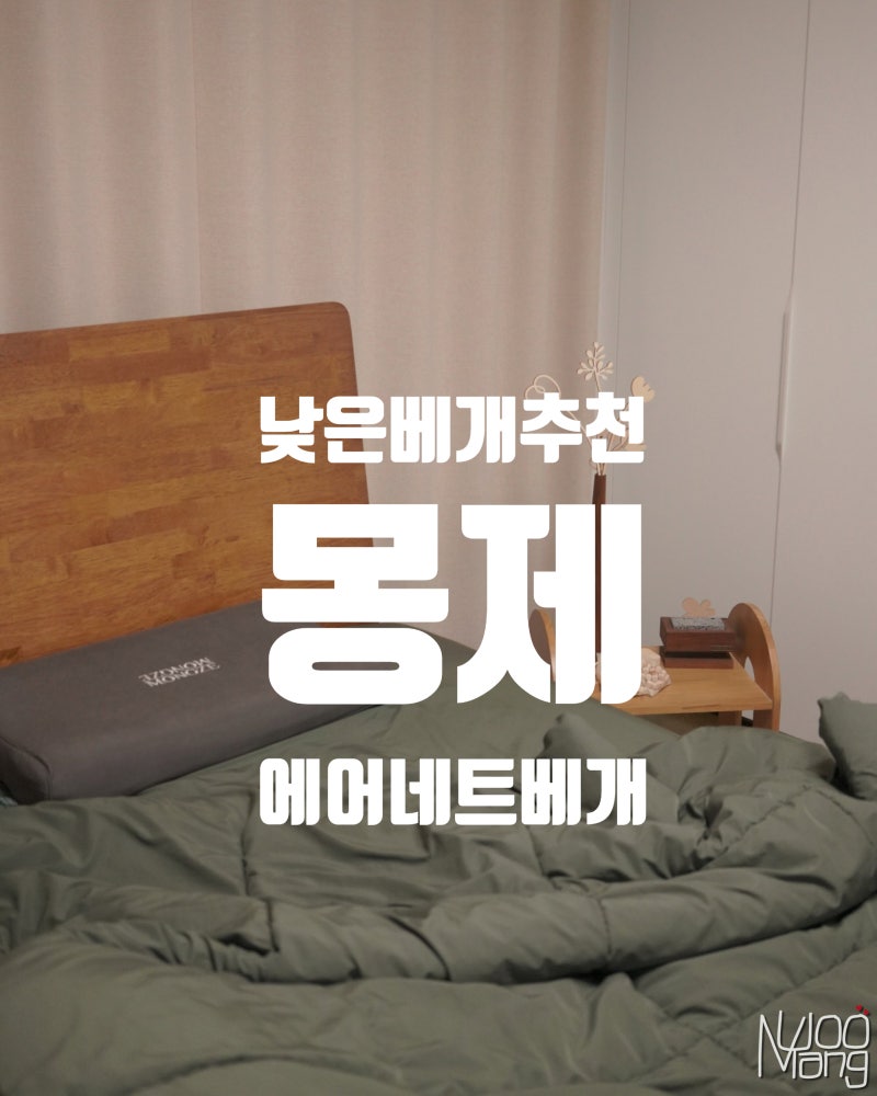 베개 유목민이 정착한 낮은 베개 추천 숙면템 몽제 에어네트 베개