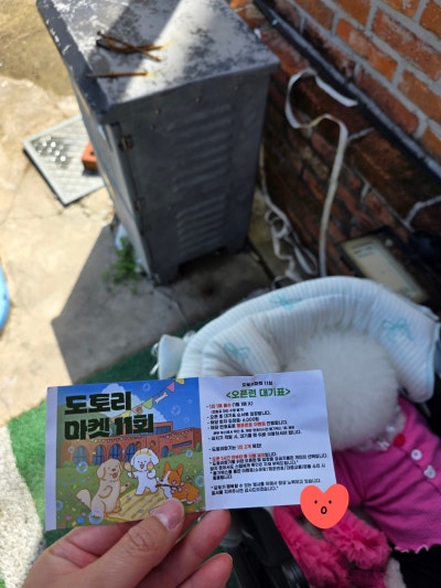 사진 3