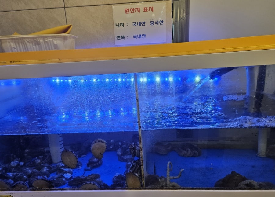 박은자맛사랑 산본점 사진 6