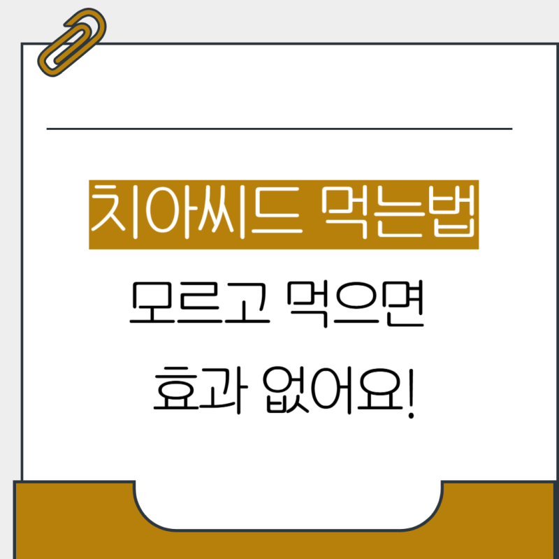 치아씨드 먹는법 모르고 먹으면 효과 없어요! 치아씨드 요거트, 칼로리, 세척법