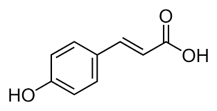   해당화의 기능성분 이야기 13편 – ρ-Coumaric acid