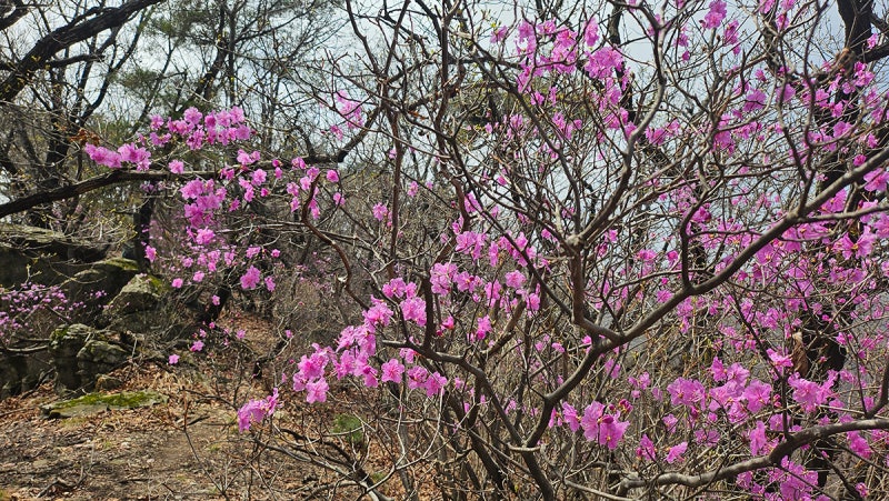 사진 10