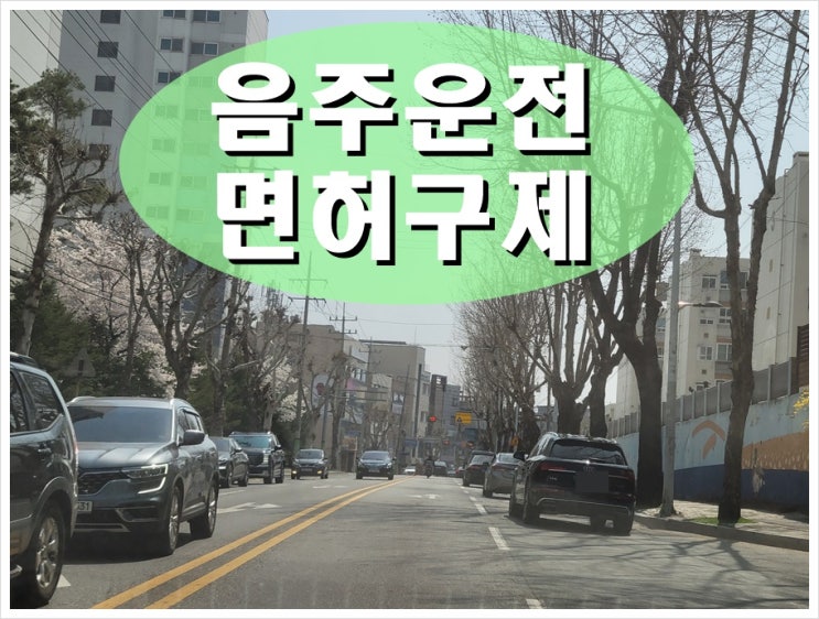  안동 음주운전면허취소 구제 초범 가능성은