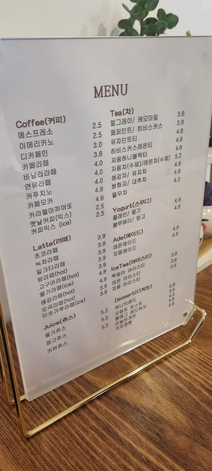 미숑 사진 3
