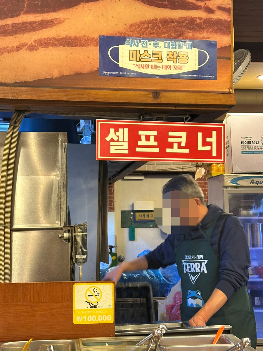 돼야지 사진 6