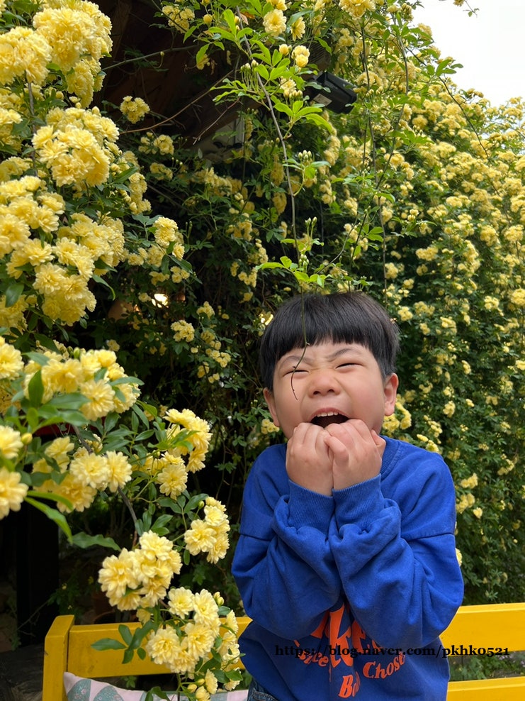 카페평사리 — 하동군
