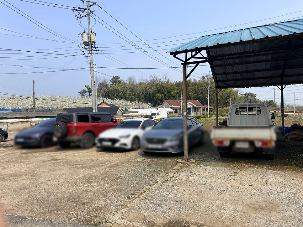 스윗로즈 사진 2