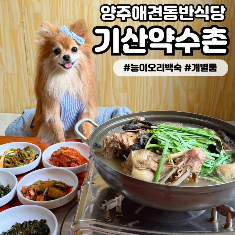 사진 4