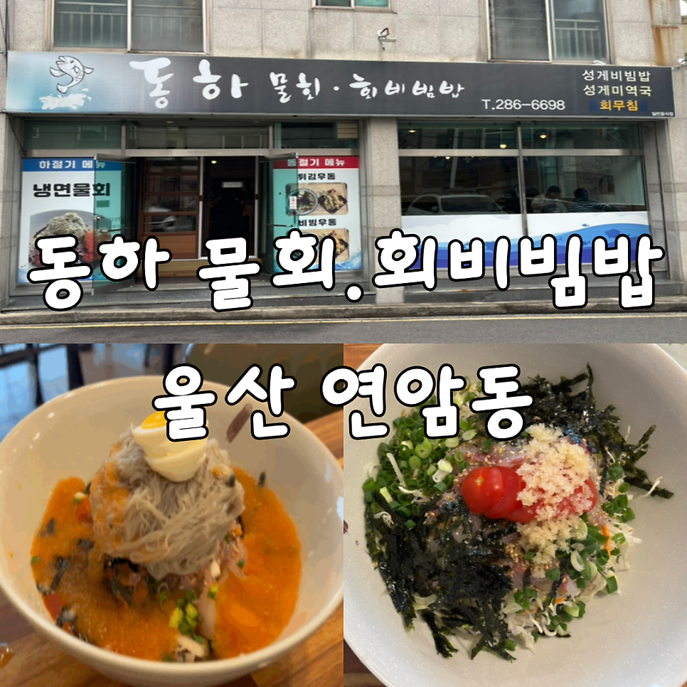 동하물회 사진 1