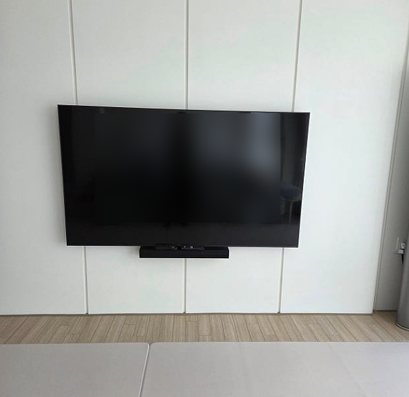  lg 나노셀 qned 비교 화질차이는?