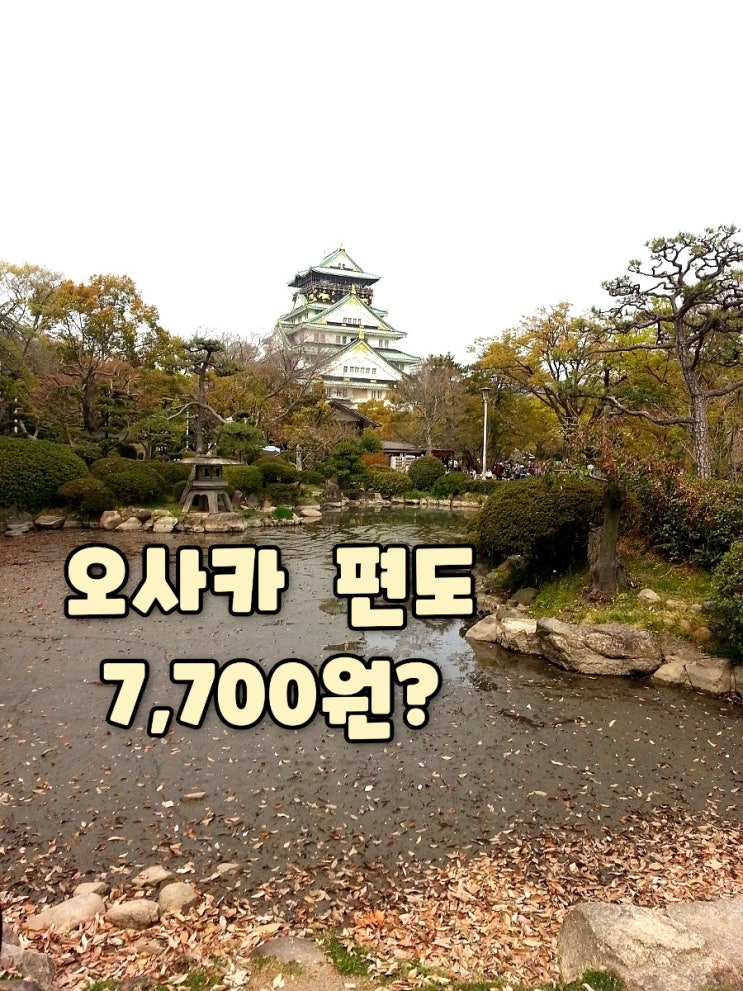  항공권 특가 마법의 시간 쉿! 혼자만 보세요