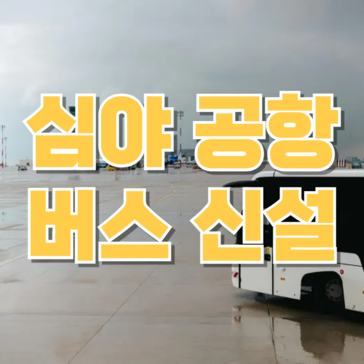  고양·파주에서 공항 갈 때 이제 밤샘 안 해도 됩니다— 심야 공항버스 신설, 이거 생각보다 큰 변화입니다