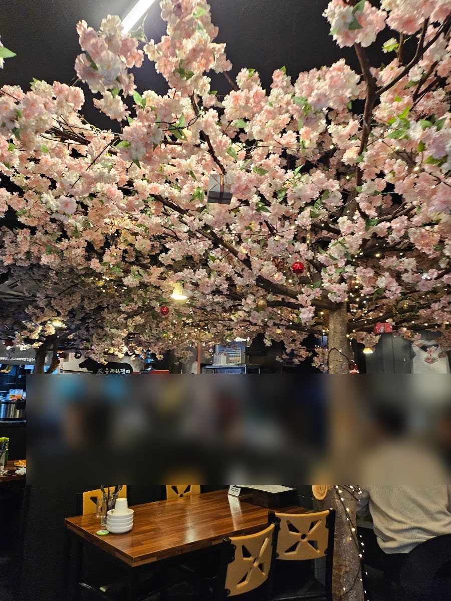 유쾌한접시 신논현본점 사진 4