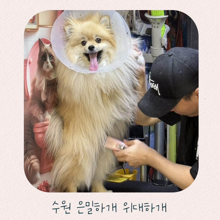 사진 2