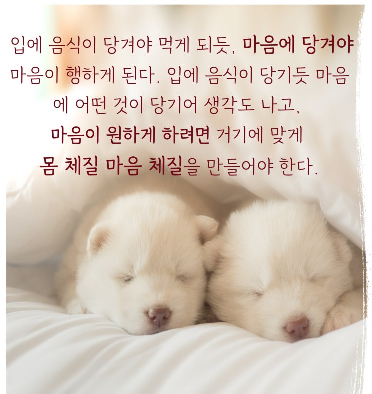  마음이 당기는 삶Ⅰ하고 싶어도 못 하는 이유Ⅰ자기 분복