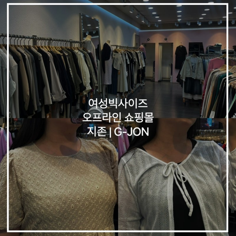 여성빅사이즈 오프라인 쇼핑몰 지존 :: 4XL 원피스 구매 후기