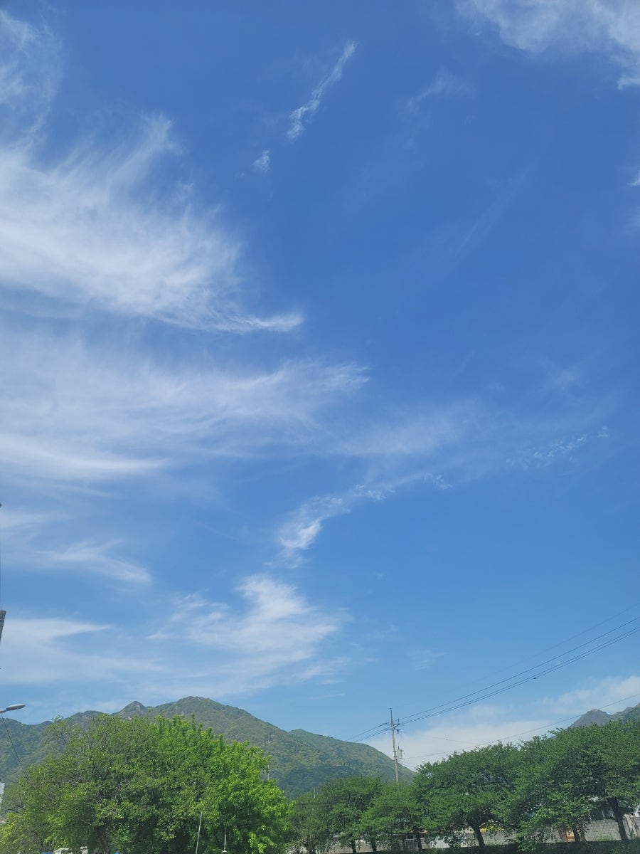 부뚜막 보리밥 사진 1