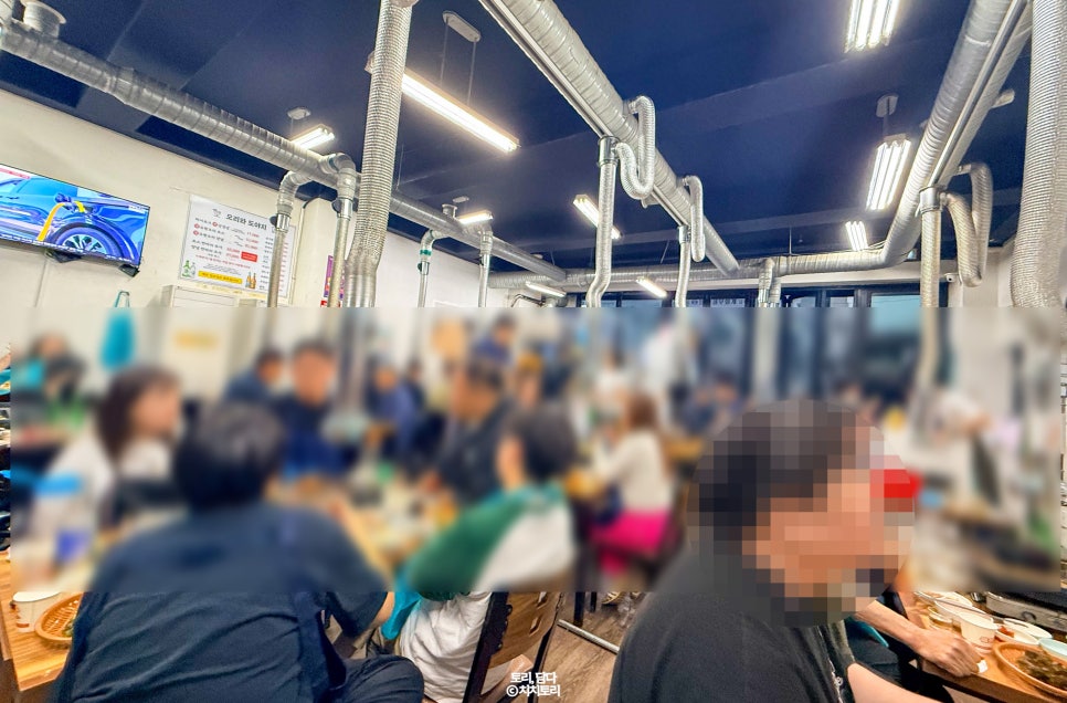 오리와 도야지 사진 1
