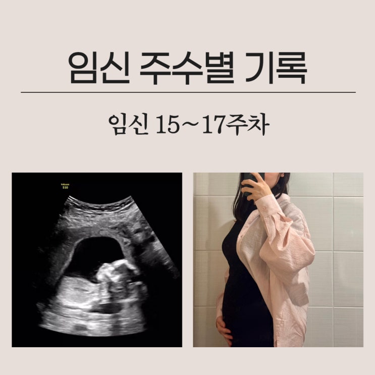  임신 주수별 기록 15~17주 차 / 청화병원 2차 기형아검사 / 태몽 / 첫 베페 / 임산부 필라테스 / 17주 배크기