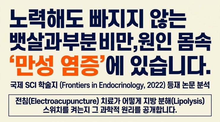  논문 심층 분석: 전침은 어떻게 심장 두근거림 없이 내장 지방을 태울까요 (NLRP3 염증 억제 기전)