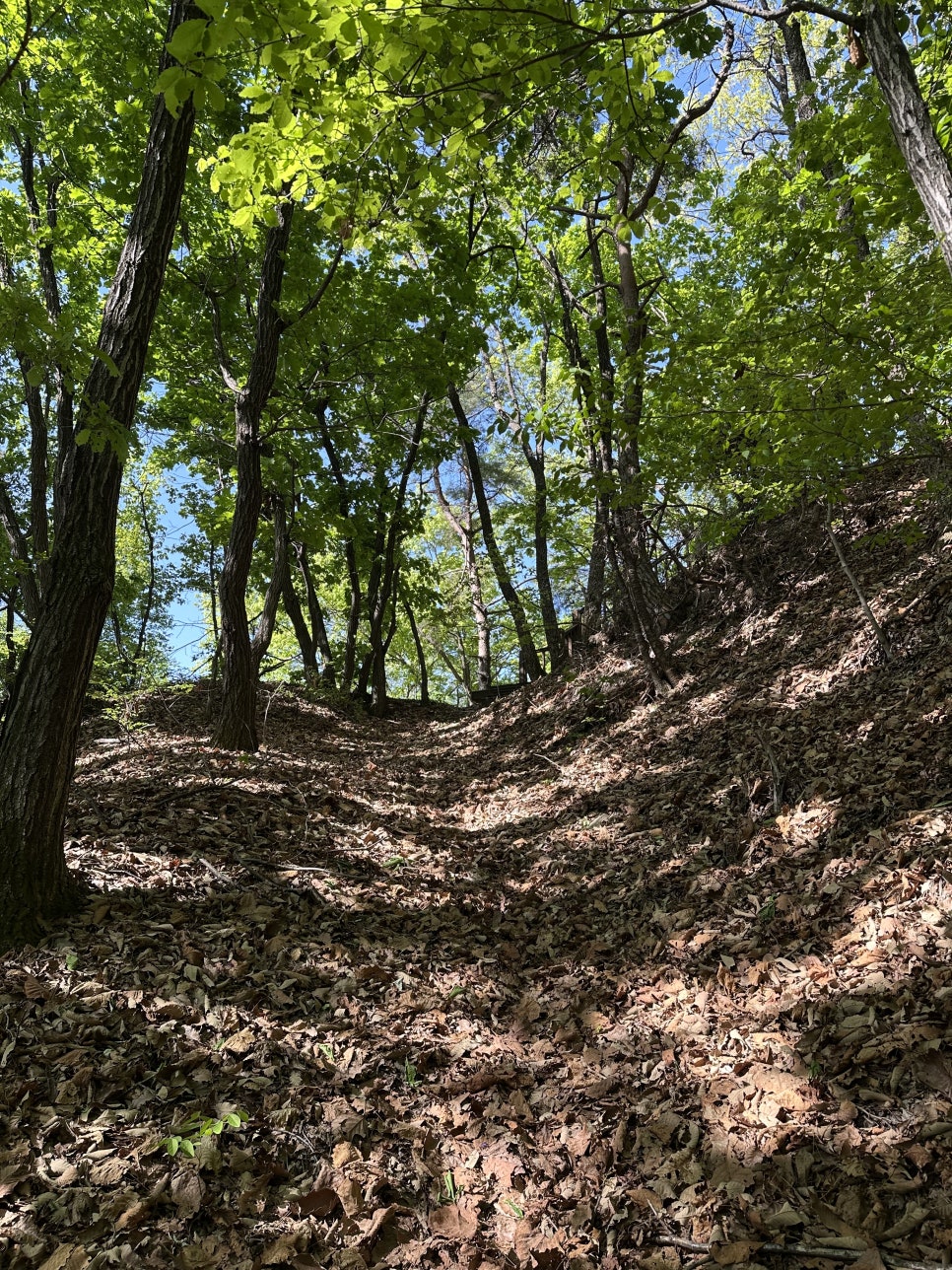 우두산 사진 5