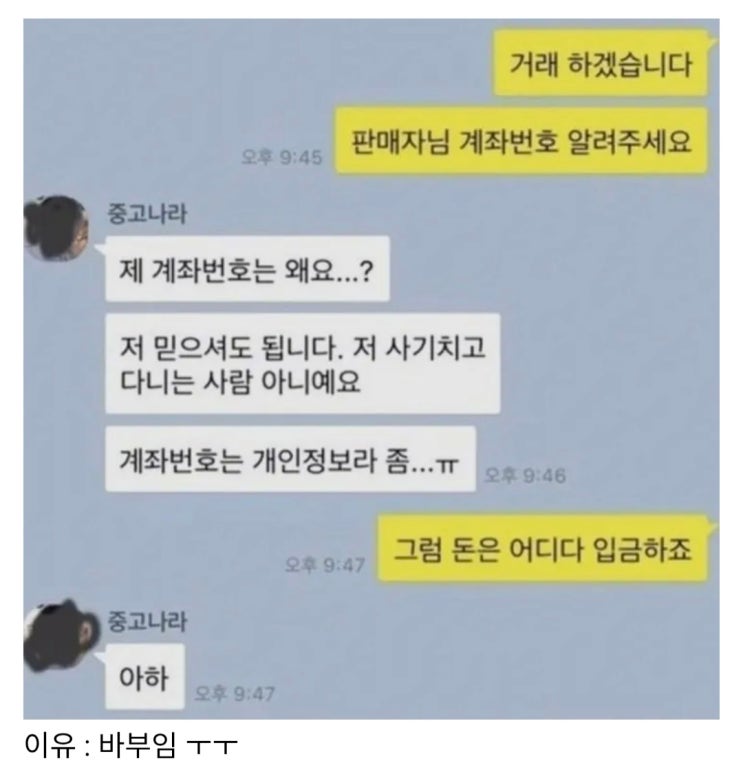  사기 절대 안 칠것같은 중고나라 판매자.jpg