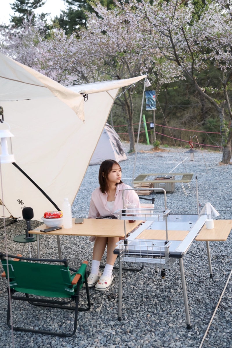 [충남 태안] 가로림만 라모스 캠핑장 : 벚꽃캠 B5 사이트 후기