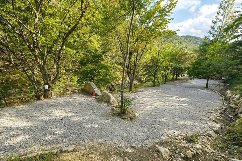 블라썸펜션 사진 6