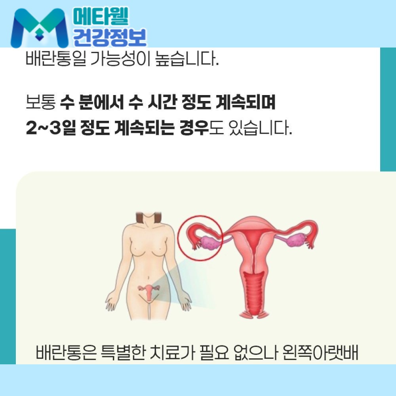 아랫배 통증이 반복된다면? 여자 골반염 증상과 원인, 급성 만성 치료 방법