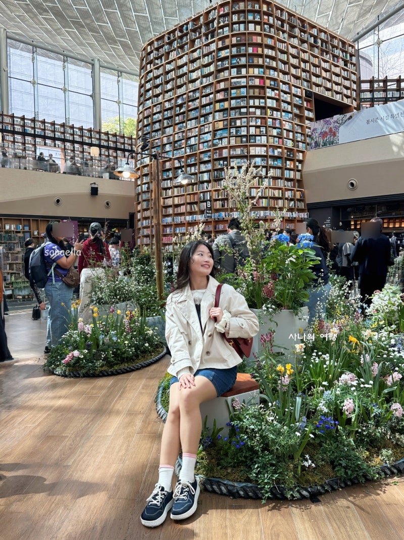 사진 5