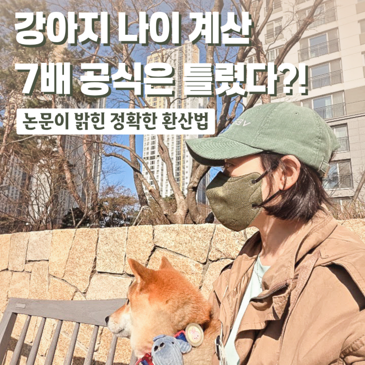  강아지 나이 계산법, 7배 공식 틀렸다? 논문이 밝힌 새로운 환산법