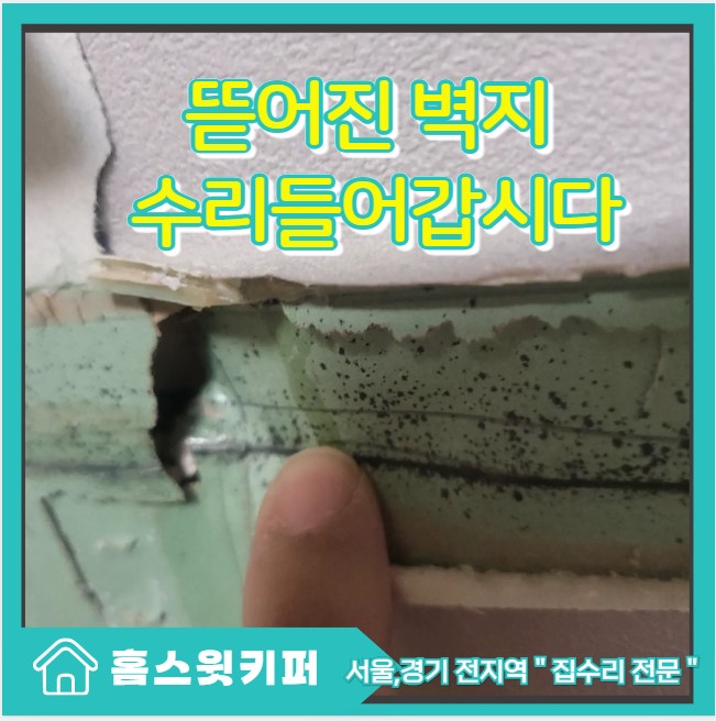  실크 벽지 부분 도배 손상된 곳 복원