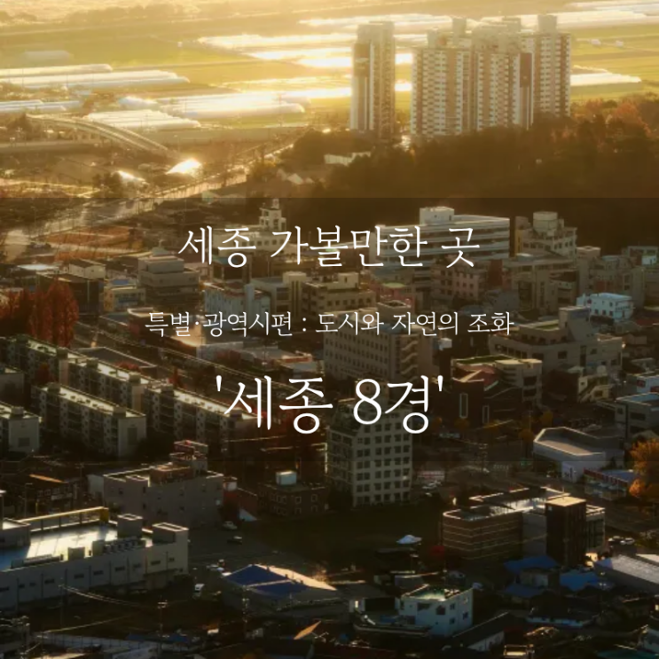  세종 여행 어디까지 가봤니? 세종 가볼만한 곳, 호수 공원의 은은한 물결부터 비암사의 고요한 풍경까지 세종 8경