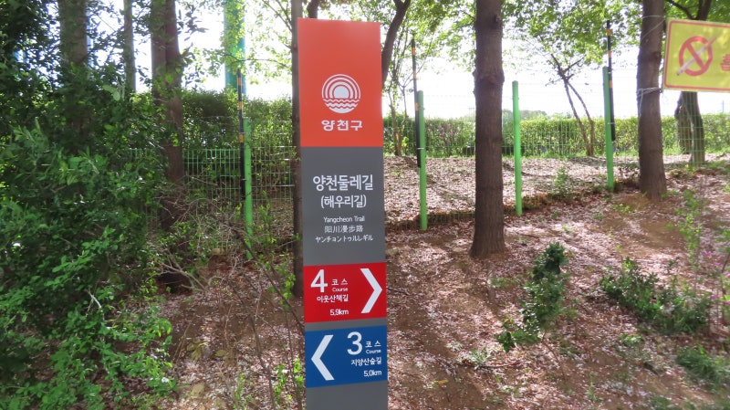 사진 9