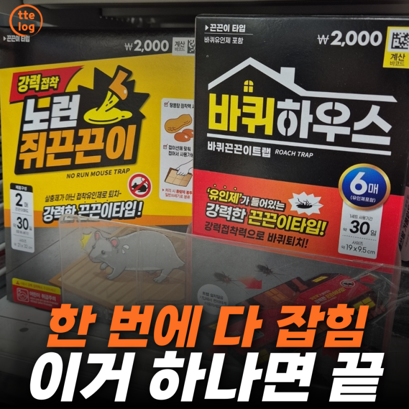 다이소 끈끈이 퇴치제, 파리·바퀴·개미까지… 이거 하나로 "한 번에 끝"났습니다
