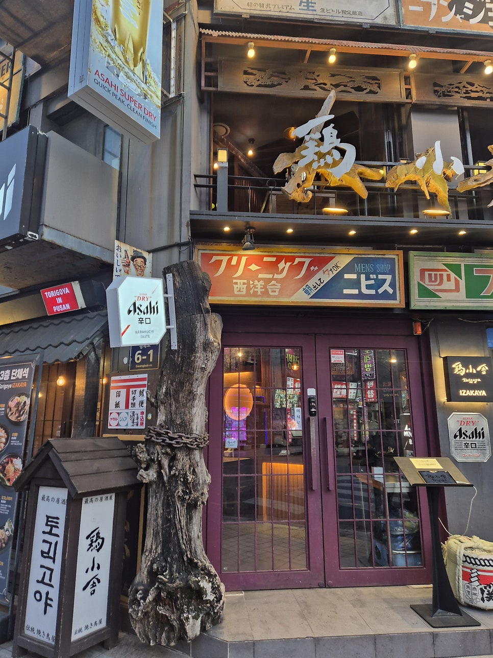 토리고야 사진 2