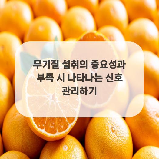  무기질 섭취의 중요성과 부족 시 나타나는 신호 관리하기