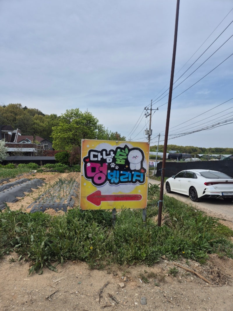 사진 5