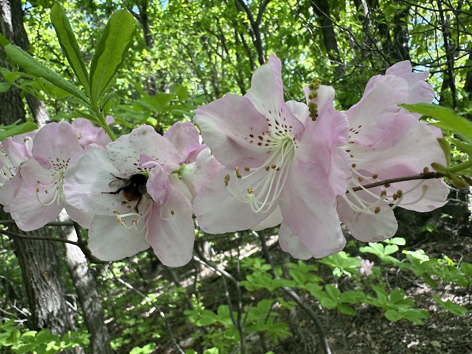 우두산 사진 6