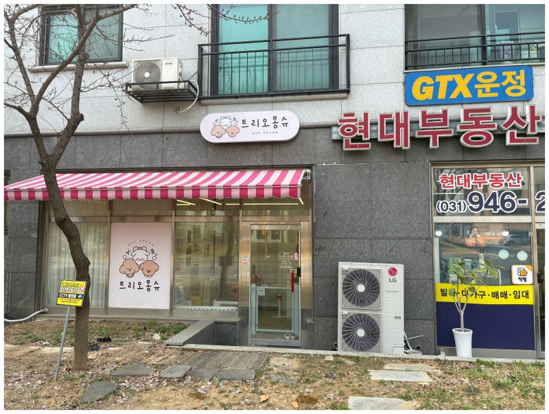 트리오몽슈 파주운정점 — 파주시
