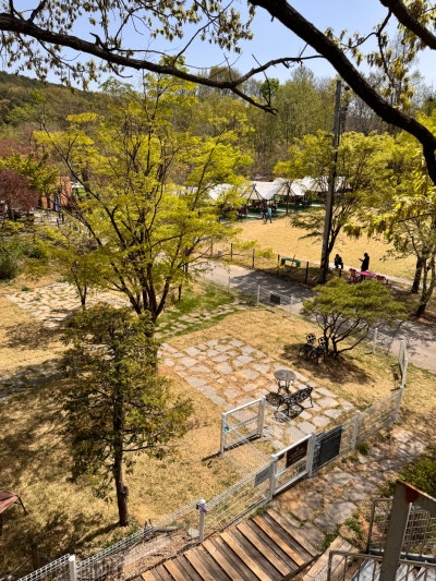 사진 4