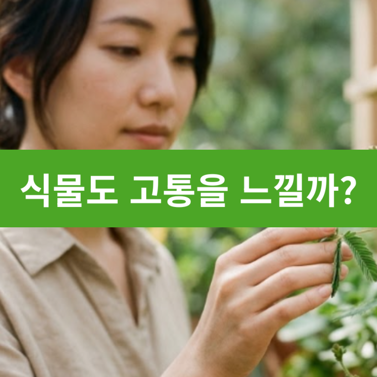  식물도 고통을 느낄까? 식물 생리학으로 본 자극 반응의 실체와 생존 전략 보타니컬