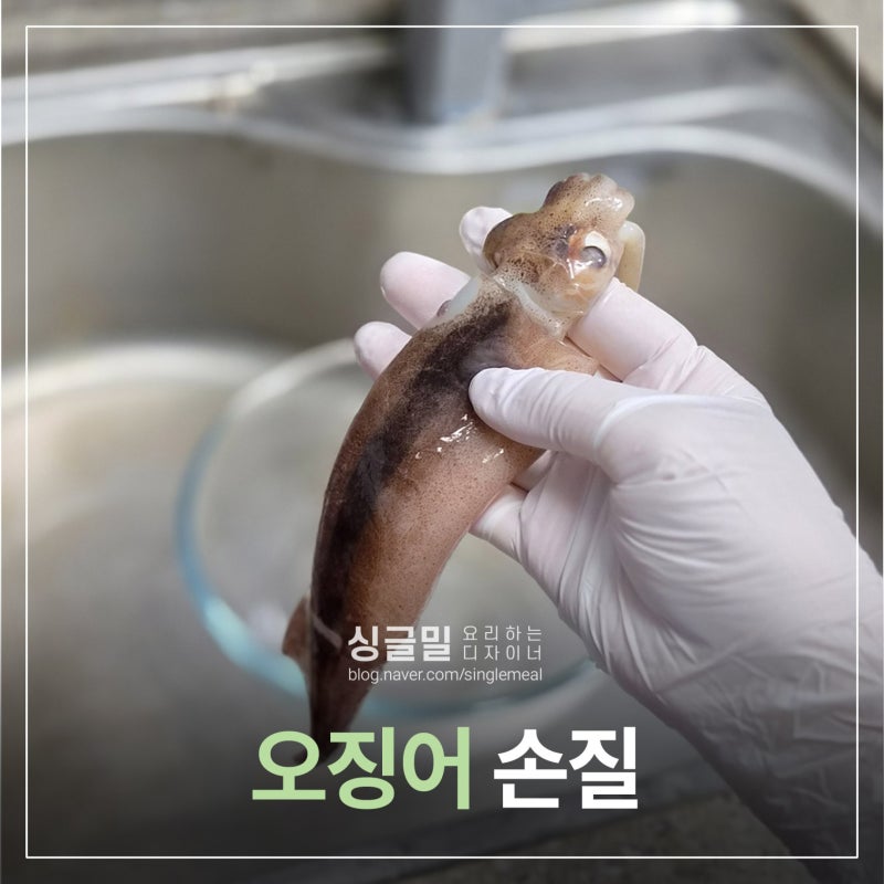오징어 손질법 해보면 쉬운 통오징어 손질